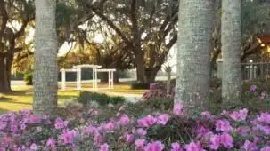 The Country Club at Silver Springs Shores